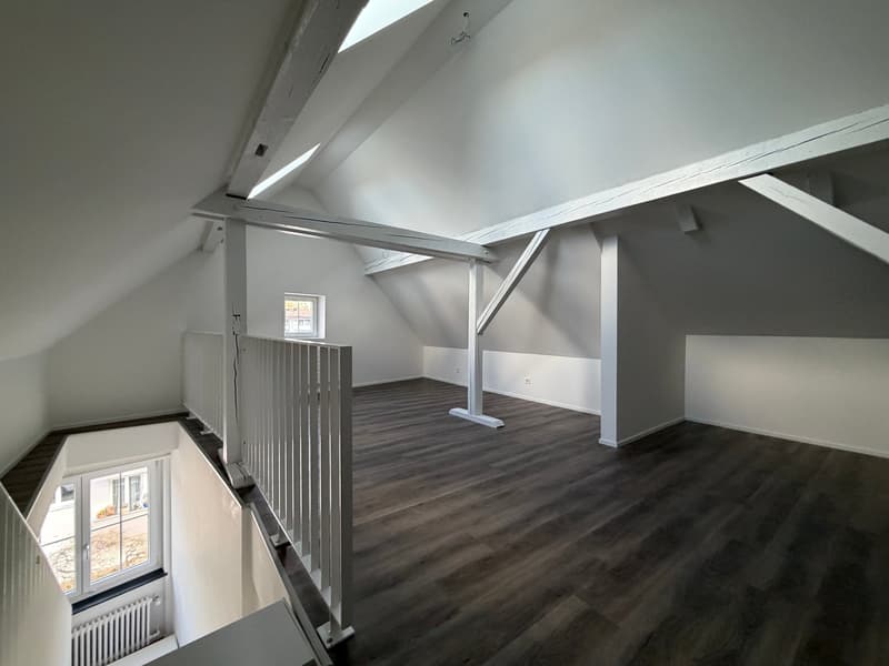 Charmant appartement de 3,5 pièces au dernier étage sur Witikonerstrasse à Zurich (9)