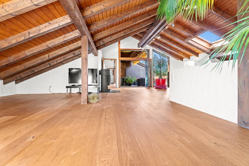 Alles ausser gewöhnlich! 5.5 Zi-Maisonette Traum-Wohnung (7)