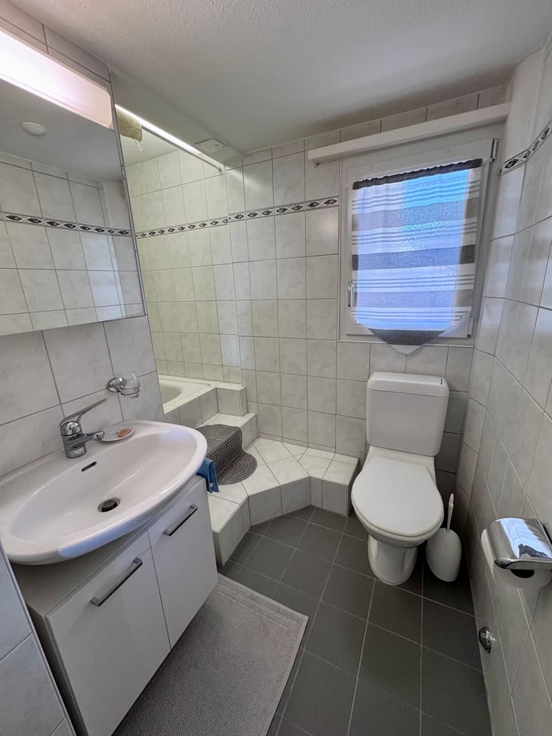 Frisch renovierte 3 Zimmerwohnung mit Parkplatz (4)