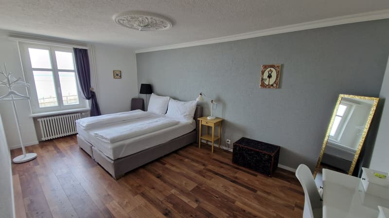 Lakefront Investment! Apartment building with 12 units - prime location! (8)