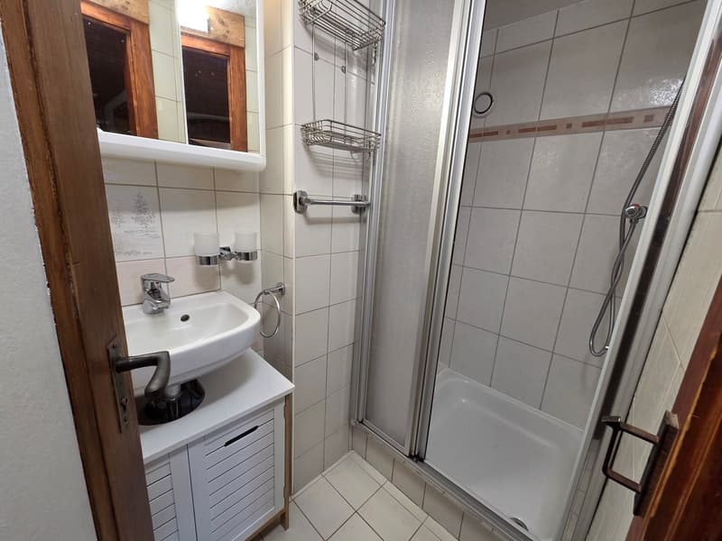 Location appartement 3 pces et demi dans maison villageoise aux Cerisiers (1)