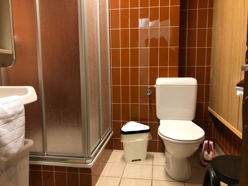 Appartement à louer à la semaine 8 pers départ pistes de ski Siviez (9)