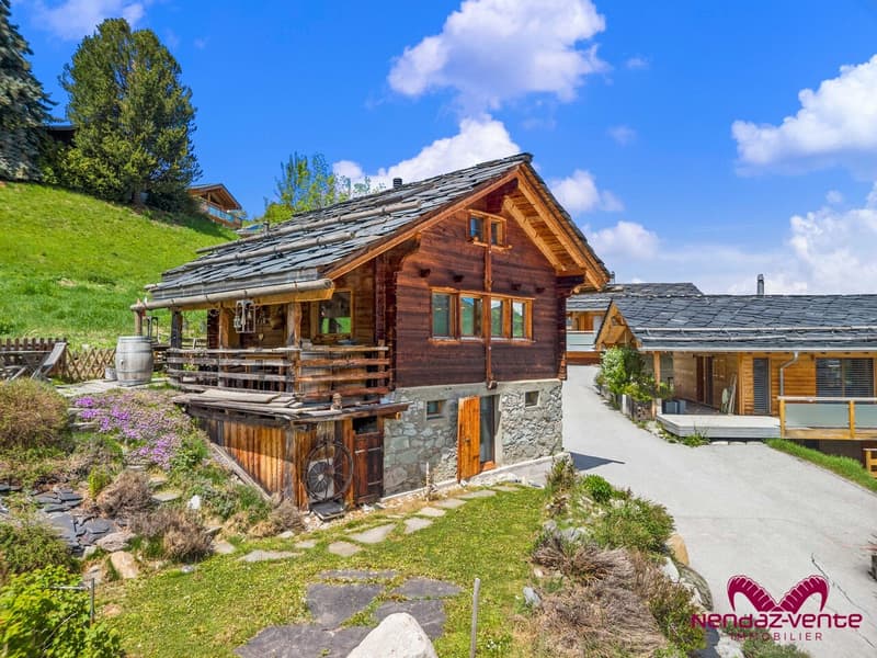 Chalet authentique à louer à la semaine ou saison - un rêve à la montagne (1)