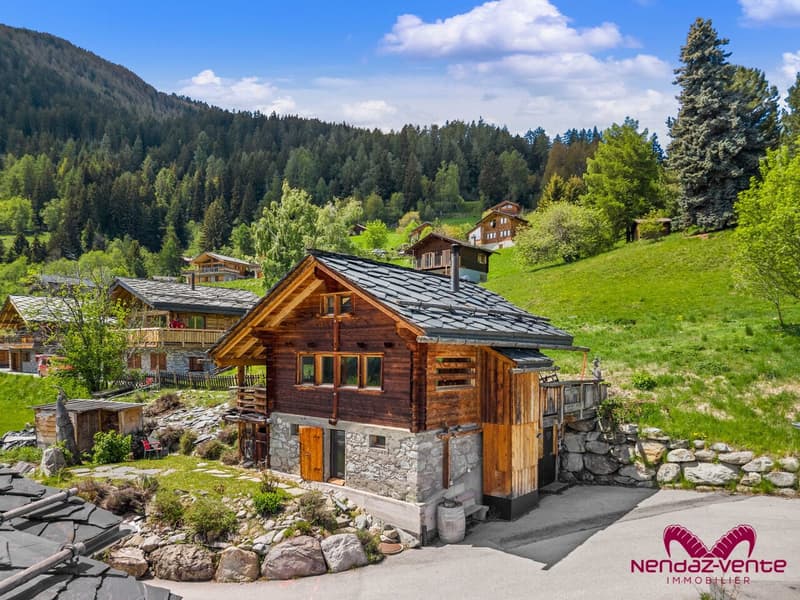 Chalet authentique à louer à la semaine  - un rêve à la montagne (10)