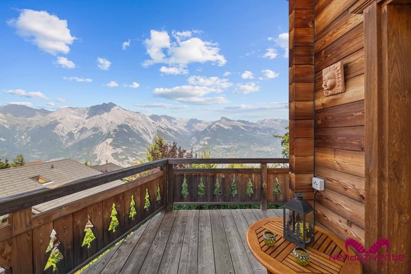 Magnifique chalet 5,5 pièces vue imprenable vente aux étrangers (10)