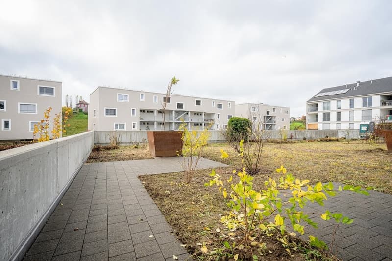 IT3_St._Gallen_1.5_ZWG_Schaefliplatz_3_Neukirch016.jpg
