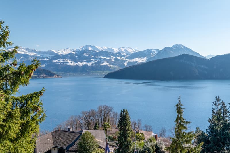 Ausblick