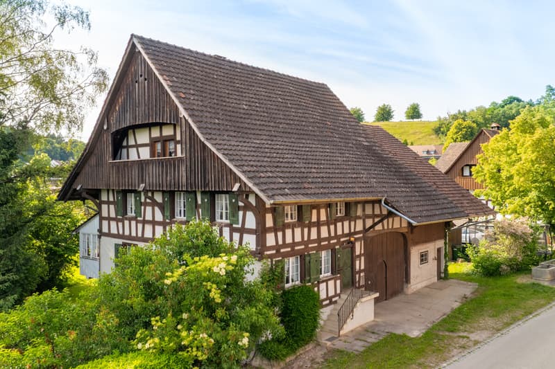 Bauernhaus mit grosszügier Scheune