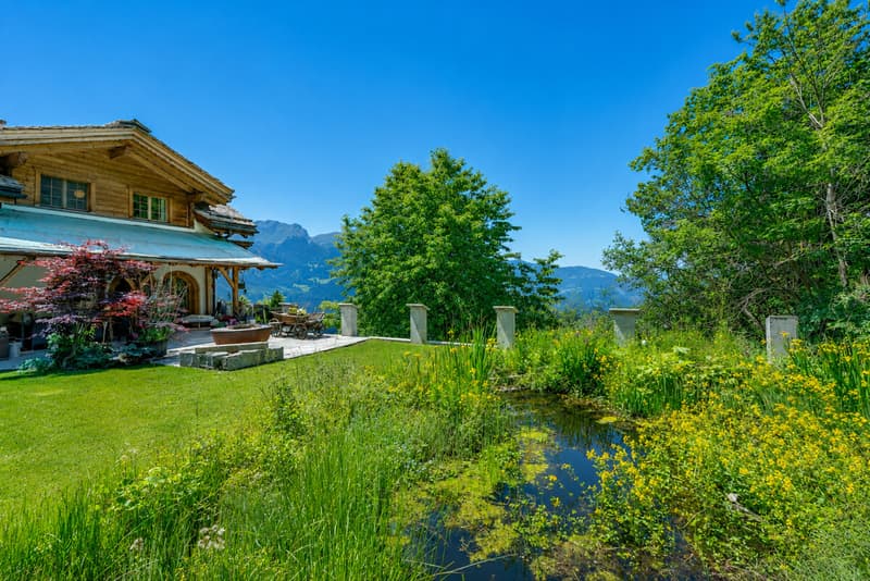 Garten Liegeschaft