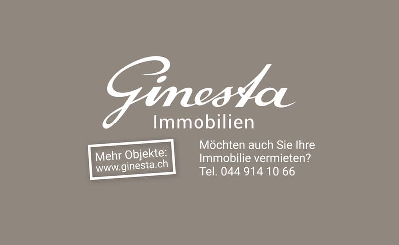 Première location : Maison tiny house en rangée exceptionnelle au cœur de Zurich (6)