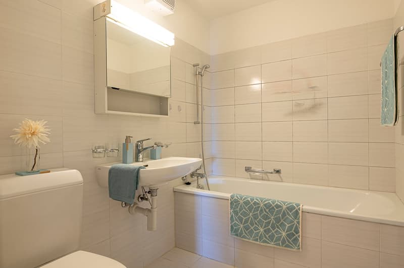 Appartement spacieux 2.5 pièces au centre-ville avec terrasse de 40 m2 (9)