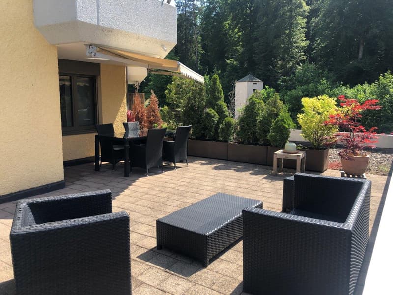 Appartement spacieux 2.5 pièces au centre-ville avec terrasse de 40 m2 (1)