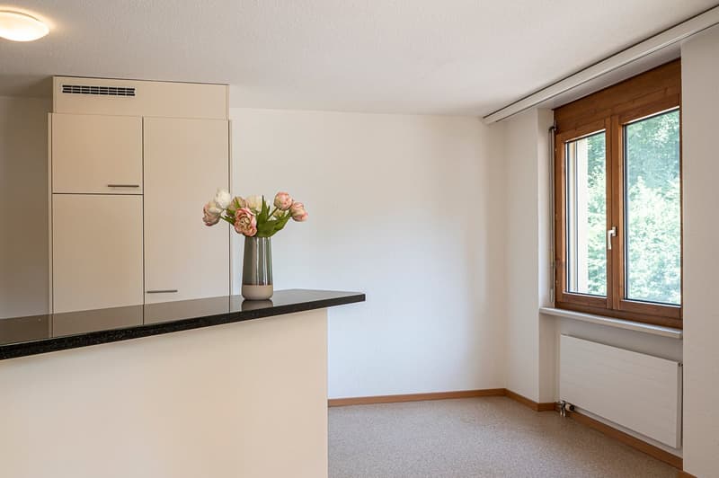 Appartement spacieux 2.5 pièces au centre-ville avec terrasse de 40 m2 (3)