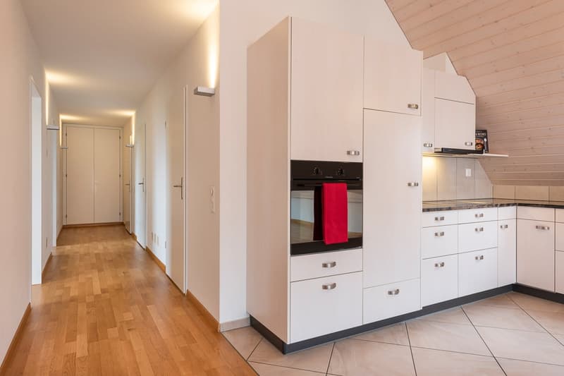 Grosszügige und moderne 4.5-Zimmer-Dachwohnung im Grünen (1)