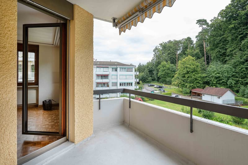 View into the green and central location - this can be your new home (8)