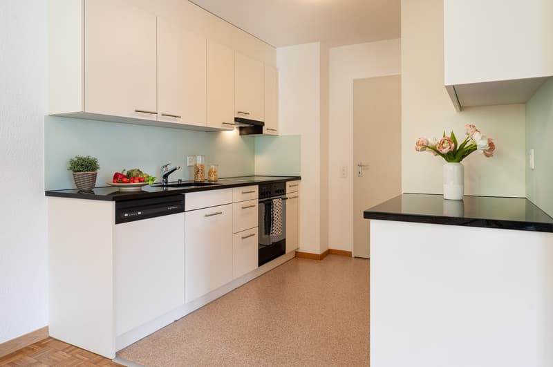 View into the green and central location - this can be your new home (6)