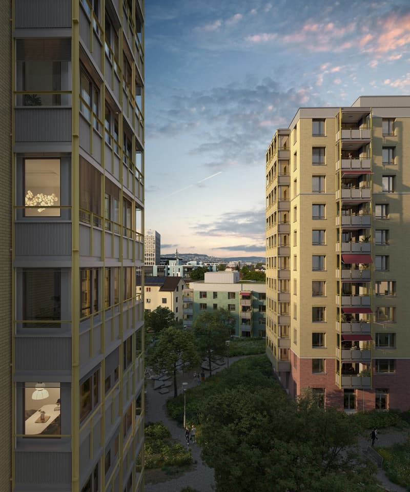 2.5 Zimmerwohnung in Schlieren (1)