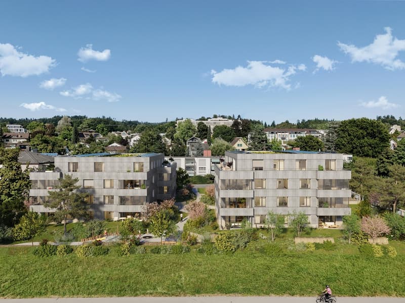 2.5 Zimmerwohnung in Pfäffikon ZH mieten (4)