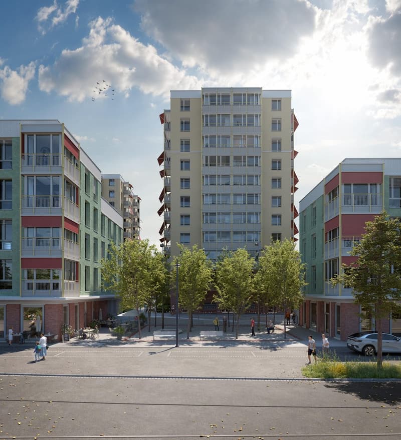 3.5 Zimmerwohnung in Schlieren (5)