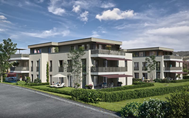 Moderne 3.5-Zimmer Wohnung in Böttstein kaufen (3)