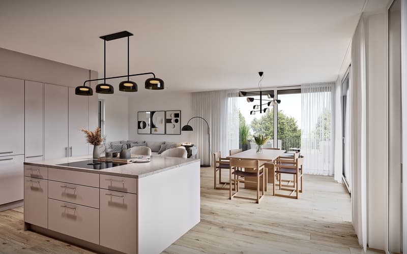 Luxuriöse 4.5-Zimmer-Attika in sonniger Böttsteiner Lage kaufen (4)
