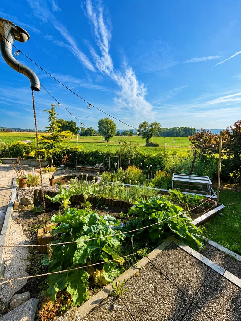 Charaktervolles 5.5-Zimmer-Einfamilienhaus mit Garten in Aristau kaufen (9)