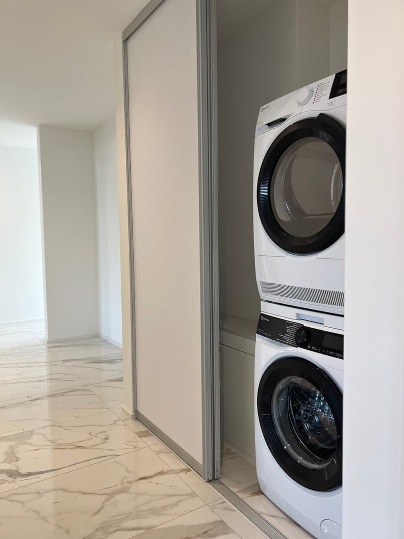 Appartement de toit extravagant avec galerie (9)