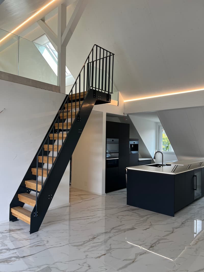 Appartement de toit extravagant avec galerie (11)
