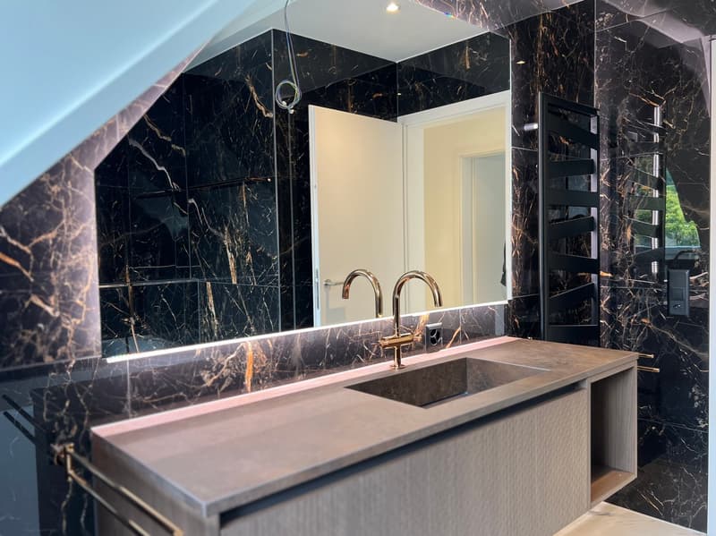 Appartement de toit extravagant avec galerie (4)