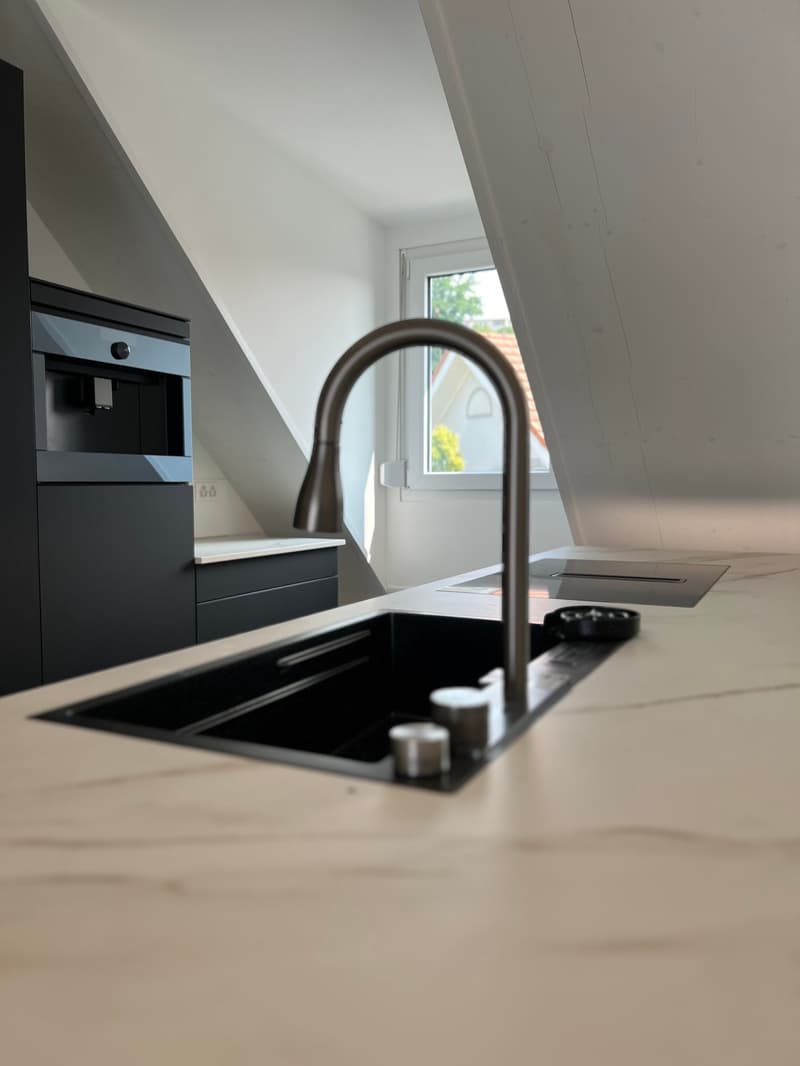 Appartement de toit extravagant avec galerie (8)