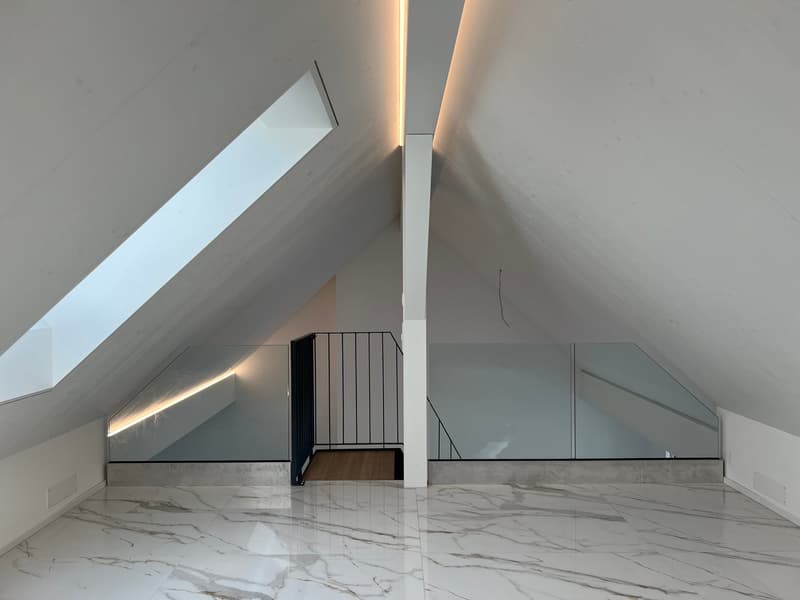 Appartement de toit extravagant avec galerie (10)