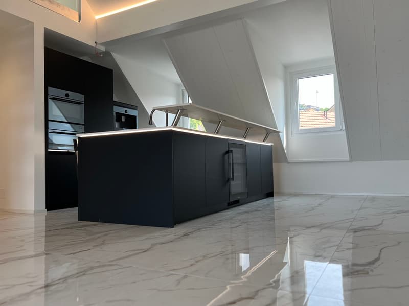 Appartement de toit extravagant avec galerie (5)