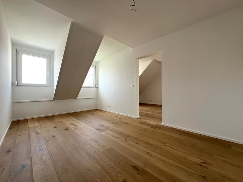 Appartement de toit extravagant avec galerie (12)