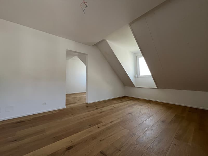 Appartement de toit extravagant avec galerie (14)