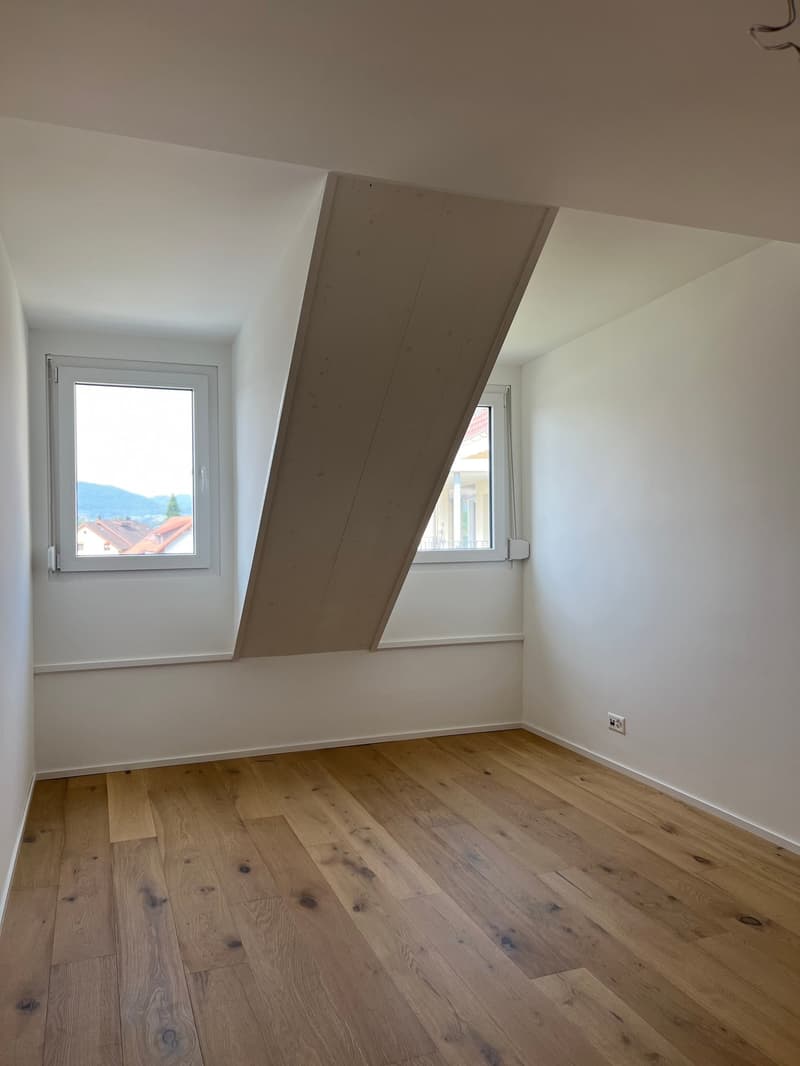 Appartement de toit extravagant avec galerie (15)