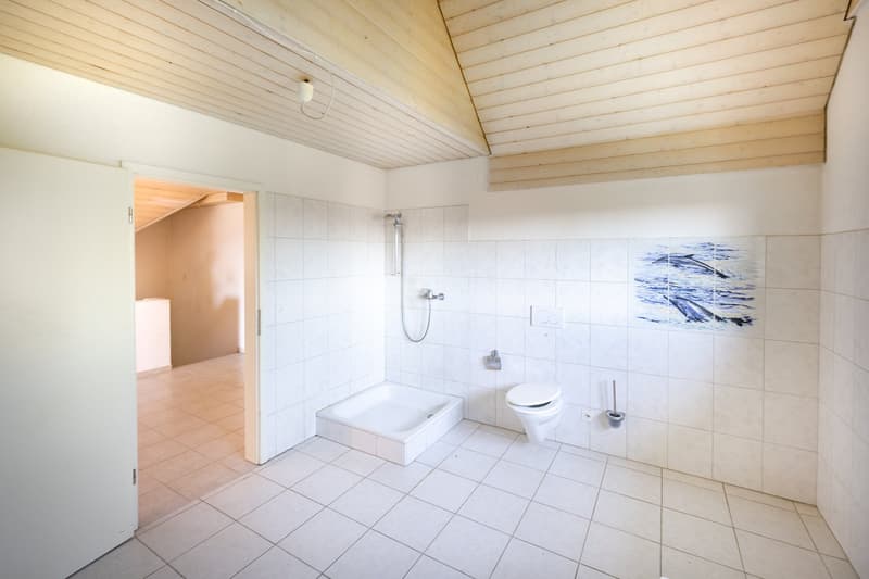 Objet de rénovation : Maison unifamiliale dépendante de 5,5 pièces (7)