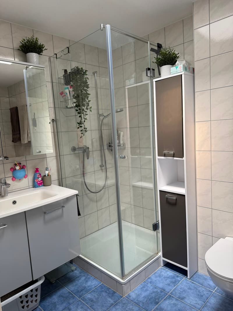 Familienfreundliches 4.5-Zimmer-Reihenmittelhaus mit Garten (8)