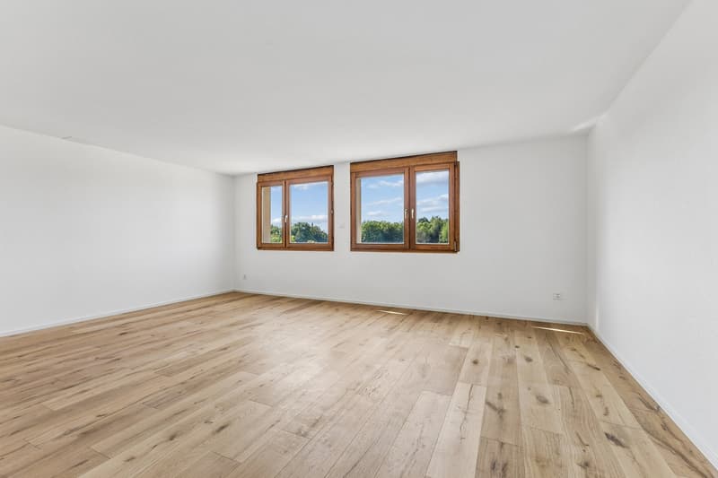 renoviert - gross - einzigartig! (7)