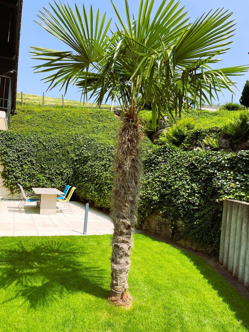 Well-maintained 7.5-room country house in a quiet location in Ennetmoos (10)