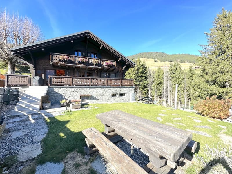 Character chalet, 6.5 rooms in Champéry – Panoramic view of the mountains (1)