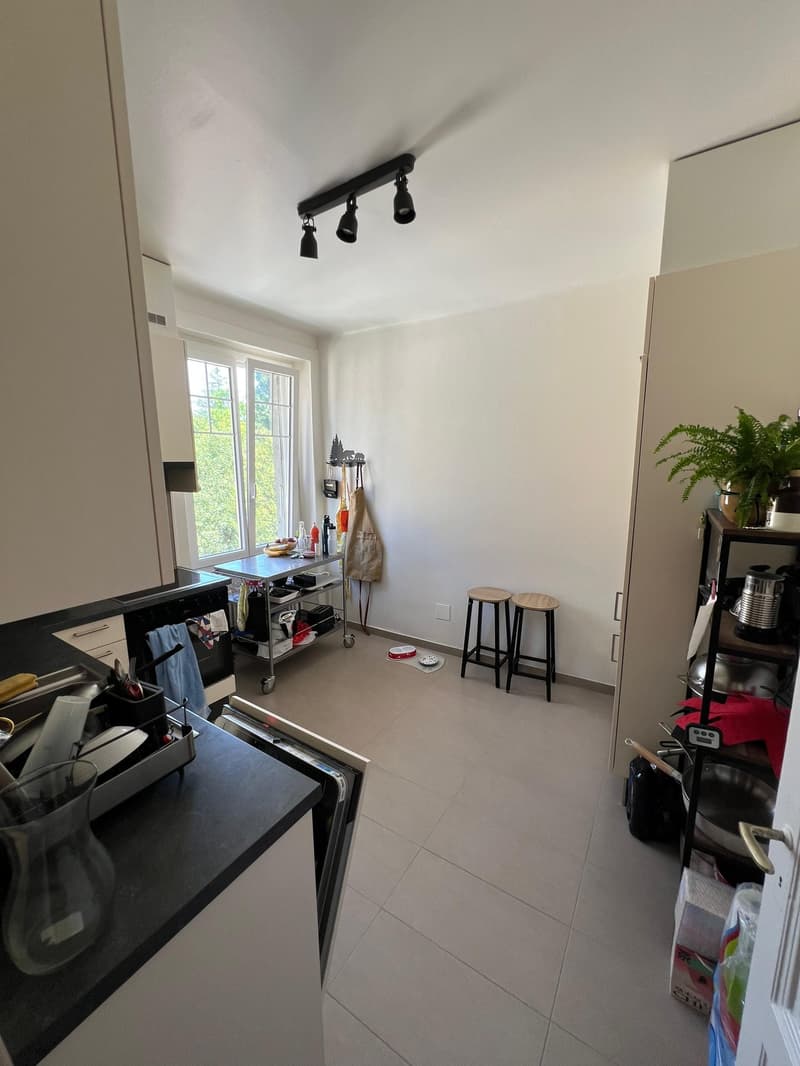 Charmant appartement de 3 pièces à Lausanne - Avenue Eglantine (5)