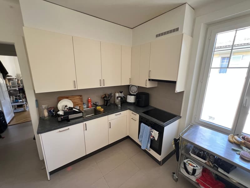 Charmant appartement de 3 pièces à Lausanne - Avenue Eglantine (4)