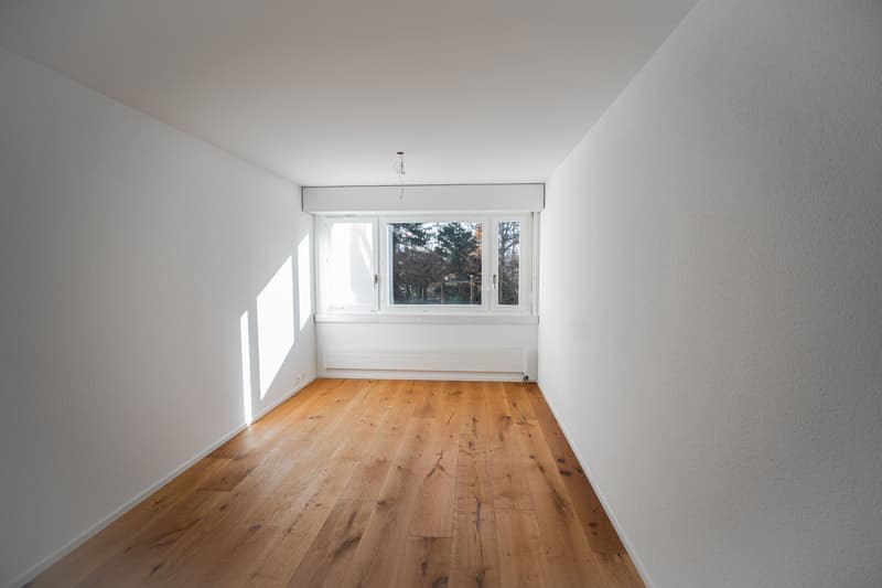 Freshly renovated 3.5-room garden apartment for sale in Emmenbrücke (9)