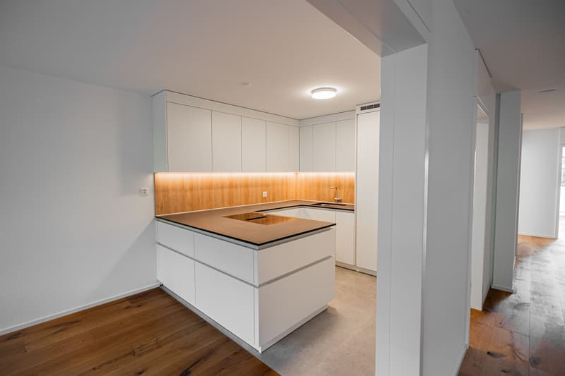 Freshly renovated 3.5-room garden apartment for sale in Emmenbrücke (8)