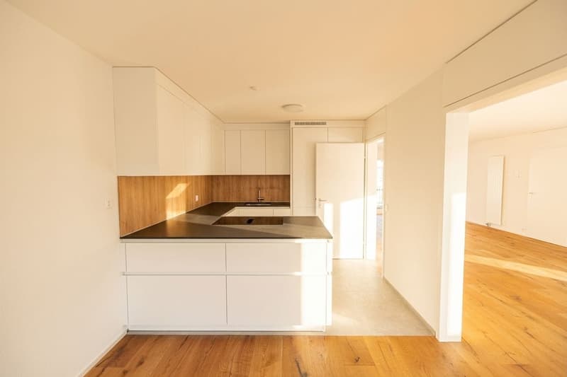 Freshly renovated 3.5-room garden apartment for sale in Emmenbrücke (7)