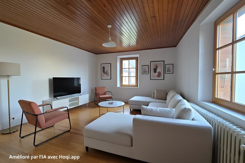 Confortable maison en pierres à Frangy (2)