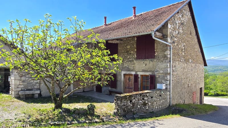 Stone house, brown roof, wooden doors, windows with shutters, small garden, tree in front