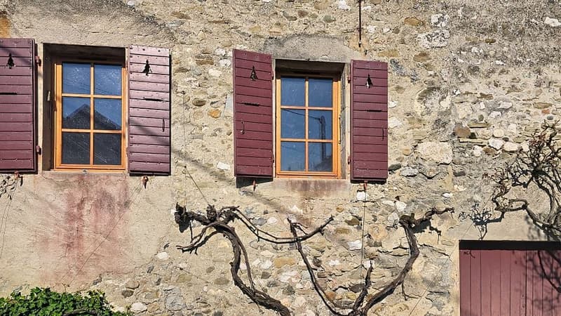 Stone wall, three windows with red shutters, wooden door, vines