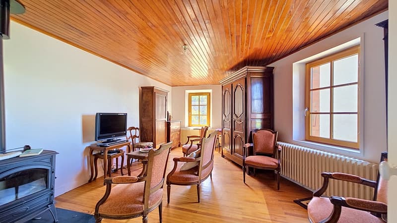 wooden floor, wooden ceiling, fireplace, TV, wooden furniture, radiator