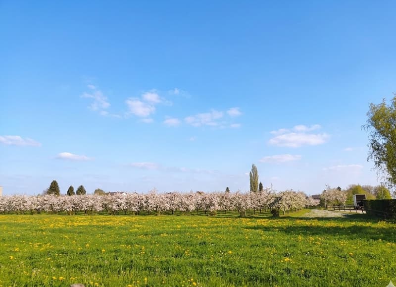 Modern 3.5-room garden apartment with unobstructed views of the greenery (6)